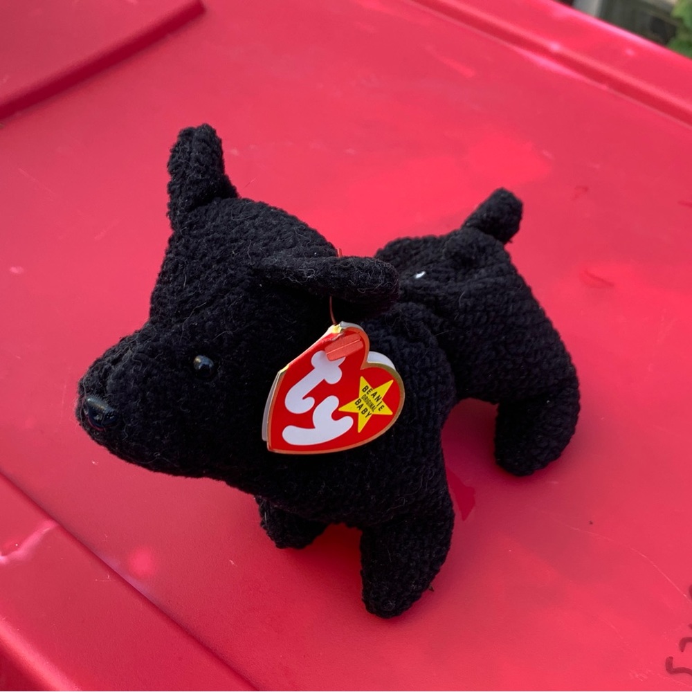 Beanie babies Scottie!